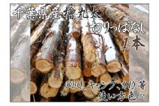 千葉市産切りっぱなし檜丸太1本 BBQ・キャンプ・スウェーデントーチ・DIYの素材として便利！ [№5346-0485]