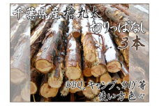 千葉県産切りっぱなし檜丸太3本BBQ・キャンプ・スウェーデントーチ・DIYの素材として便利！ [№5346-0487]