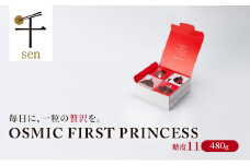 OSMIC FIRST PRINCESS 4箱セット　【トマト オスミック 千 ブランド ミニトマト 野菜】 [№5346-0561]