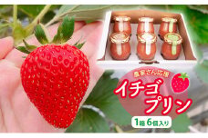 農家さん応援　イチゴプリン1箱6個入り [№5346-0602]