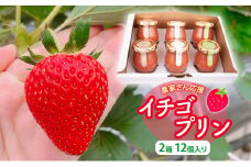 農家さん応援　イチゴプリン２箱１２個入り [№5346-0603]