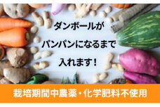 2～4名様向け／野菜6種に加工品をプラス[№5346-0568]
