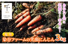 【夏】染谷ファームの笑顔にんじん　3キロ　千ブランド [№5346-0736]