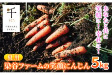 【夏】染谷ファームの笑顔にんじん　5キロ　千ブランド [№5346-0737]