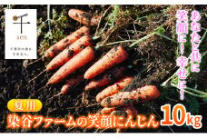 【夏】染谷ファームの笑顔にんじん　10キロ　千ブランド [№5346-0738]