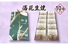 落花生焼10個入り [№5346-0752]