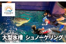 大型水槽 シュノーケリング 体験 チケット クーポン ウミガメ 水槽 千葉市[№5346-0962]