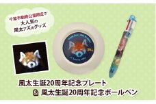 風太生誕20周年記念プレート＆風太生誕20周年記念ボールペン ボールペン プレート 風太 風太ァズ レッサーパンダ グッズ オリジナルグッズ 20周年記念 千葉市動物公園 千葉県[№5346-1010]