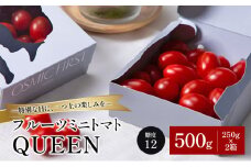 フルーツミニトマトQUEEN 500g(250g×2箱) トマト ミニトマト 国産 野菜 糖度12 濃厚 千葉市 千葉県 [№5346-1229]