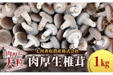 しいたけ 肉厚生椎茸1kg 椎茸 シイタケ 高品質 通年栽培 肉厚 大粒 しっかり 噛み応え きのこ 千葉市 千葉県[№5346-1329]