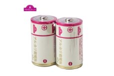トップバリュ アルカリ乾電池 単1形2個入り×5 [№5346-1641]