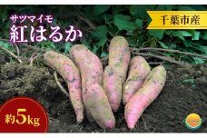 【先行受付】サツマイモ（紅はるか）約5kg 千葉市産／土付き無選別／未来につなぐ農業「つなぐファーム」／2025年12月上旬頃から順次発送 [№5346-1543]