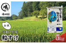 新米　令和7年 粒すけ 5kg 千葉産 白米　【 お米 こめ コメ おこめ 】  [№5346-0049]