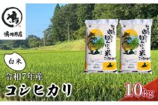 新米　令和7年 コシヒカリ　白米　10kg お米 精米 粘りつやつや 甘み 美味しい 新鮮  [№5346-0186]