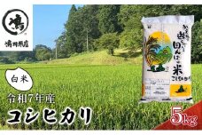 新米　令和7年 コシヒカリ　白米　5kg お米 精米 粘りつやつや 甘み 美味しい 新鮮  [№5346-0196]