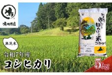 新米　令和7年  コシヒカリ　無洗米　5kg お米 精米 粘りつやつや 甘み 美味しい 新鮮  [№5346-0197]