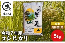 【定期2ヶ月】新米　コシヒカリ　白米　5kg　令和7年産 お米 銘柄米 ご飯 おにぎり お弁当 和食 食卓 精米 国産 千葉県産 産地直送  [№5346-0654]