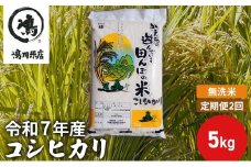 【定期2ヶ月】新米 コシヒカリ 乾式無洗米 5kg 令和7年産 お米 銘柄米 ご飯 おにぎり お弁当 和食 食卓 精米 国産 千葉県産 産地直送  [№5346-0655]
