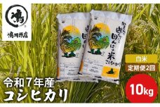 【定期2ヶ月】新米 コシヒカリ　白米　10kg（5kg×2）令和7年産 お米 銘柄米 ご飯 おにぎり お弁当 和食 食卓 精米 国産 千葉県産 産地直送  [№5346-0660]