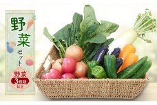 野菜セット 野菜3種類以上 野菜 季節の野菜 セット 産地直送 新鮮 野菜農家 季節 詰め合わせ 産直 国産 お楽しみ おまかせセット 千葉市 [№5346-1433]