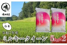 新米　令和7年 ミルキークイーン 白米 10kg（5kg×2）特別栽培米【お米 粘り もっちり おにぎり お弁当】 千葉県  [№5346-0326]