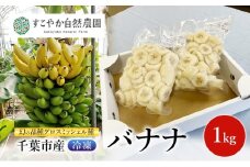幻の品種 グロスミッシェル種 千葉市産 冷凍バナナ 1kg バナナ 果物 フルーツ 冷凍 千葉市 [№5346-1502]