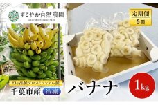 幻の品種 グロスミッシェル種 千葉市産 冷凍バナナ 1kg 定期便（6回）バナナ 果物 フルーツ 冷凍 千葉市 [№5346-1504]