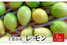 レモン 1kg 果物 フルーツ 国産 千葉市 [№5346-1509]