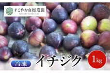 冷凍イチジク 1kg 果物 フルーツ 国産 千葉市 [№5346-1510]