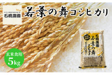 米 若葉の舞 コシヒカリ 玄米食用5Kg こしひかり お米 玄米 千葉 千葉県 低温保存 [№5346-0781]