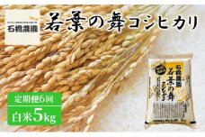 米 若葉の舞 コシヒカリ 白米5Kg 定期便6回 こしひかり お米 白米 定期便 精米 千葉 千葉県 低温保存 [№5346-0799]