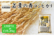 米 若葉の舞 コシヒカリ 白米5Kg 定期便9回 こしひかり お米 白米 定期便 精米 千葉 千葉県 低温保存 [№5346-0808]