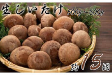 生椎茸（約500～600g、15個程度）