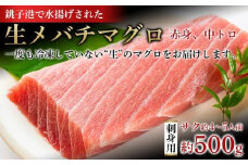生メバチマグロ（刺身用サク） 500g