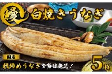	国産うなぎ 白焼き 5枚 約120g×5 うなぎ 鰻 白焼き 蒲焼 うな重 鰻丼 うな丼 ひつまぶし 土用の丑の日 土用丑 魚 海鮮 魚介類 肉 肝 レバー 冷蔵 おつまみ おかず 惣菜 酒 ビール 焼酎 日本酒 ウイスキー チューハイ お取り寄せ ギフト プレゼント 贈答 贈答用 贈り物 内祝い お中元 お歳暮 母の日 父の日 敬老の日 千葉県 銚子市 有限会社石毛川魚店