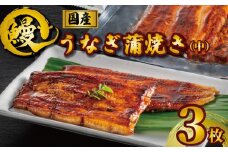 国産うなぎ蒲焼き タレ・山椒付き 3枚 約100g×3 うなぎ 鰻 蒲焼 うな重 鰻丼 うな丼 ひつまぶし 土用の丑の日 土用丑 魚 海鮮 魚介類 肉 冷凍 真空パック 個包装 小分け おつまみ おかず 惣菜 ビール 酒 焼酎 日本酒 ウイスキー チューハイ お取り寄せ ギフト プレゼント 贈答 贈答用 贈り物 お中元 お歳暮 母の日 父の日 敬老の日 千葉県 銚子市 有限会社石毛川魚店
