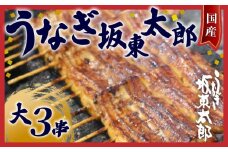 国産 うなぎ 蒲焼 大 3串 (1枚140g) 坂東太郎 鰻 うなぎ蒲焼 国産うなぎ 国産鰻 unagi うな重 ひつまぶし 丑の日 冷凍 食品 小分け 冷凍食品 簡単調理 人気 おすすめ 魚 魚介 魚貝 海鮮 弁当 惣菜 贈答 贈り物 プレゼント ギフト お取り寄せ 送料無料 ふるさと納税 ふるさと納税鰻 ふるさと納税うなぎ 千葉県 銚子市 忠平