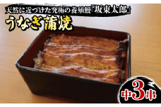 うなぎ坂東太郎 蒲焼 中3串 （1枚約108g）うなぎ 坂東太郎 蒲焼 グルメ 鰻 加工品 レトルト 惣菜 人気 おすすめ 簡単調理 真空パック お取り寄せ グルメ ギフト お土産 土用の丑の日 お中元 お歳暮 贈答 プレゼント 贈り物 食品 うな重 魚貝 冷凍 送料無料 千葉県 銚子市 忠平