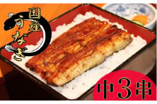 国産うなぎ 中3串 （1枚約108g） うなぎ 蒲焼 グルメ 鰻 ウナギ ブランド 冷凍 加工品 惣菜 セット お取り寄せ 国産 土用の丑の日 千葉県 銚子市