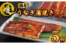 国産うなぎ蒲焼き タレ・山椒付き 5枚 約100g×5 うなぎ 鰻 蒲焼 うな重 鰻丼 うな丼 ひつまぶし 土用の丑の日 土用丑 魚 海鮮 魚介類 肉 冷凍 真空パック 個包装 小分け おつまみ おかず 惣菜 ビール 酒 焼酎 日本酒 ウイスキー チューハイ お取り寄せ ギフト プレゼント 贈答 贈答用 贈り物 お中元 お歳暮 母の日 父の日 敬老の日 千葉県 銚子市 有限会社石毛川魚店