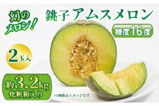 幻のメロン！銚子アムスメロン（2玉入り 3.2kg 化粧箱入り） メロン 青肉 果物 フルーツ ギフト プレゼント 贈答 贈り物 お取り寄せ デザート スイーツ ケーキ ゼリー ジュース フルーツサンド 糖度 国産 送料無料 ふるさと納税 千葉県 銚子市 銚子市メロン組合