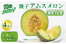 幻のメロン！銚子アムスメロン（4玉入り 6kg） メロン 青肉 果物 フルーツ ギフト プレゼント 贈答 贈り物 お取り寄せ デザート スイーツ ケーキ ゼリー ジュース フルーツサンド 糖度 国産 送料無料 ふるさと納税 千葉県 銚子市