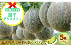 幻のメロン！銚子アムスメロン（5玉入り 6kg） メロン 青肉 果物 フルーツ ギフト プレゼント 贈答 贈り物 お取り寄せ デザート スイーツ ケーキ ゼリー ジュース フルーツサンド 糖度 国産 ふるさと納税 送料無料 千葉県 銚子市