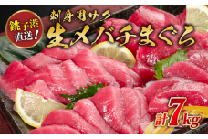 生メバチマグロ（刺身用サク）7kg程度 生 新鮮 厳選生マグロ 人気 魚料理 まぐろ 鮪 刺身 お刺身 赤身 肉 鉢マグロ ネギトロ マグロ漬け 海鮮丼 丼 寿司 鉄火丼 手巻き寿司 魚 海鮮 魚介 おつまみ おかず お取り寄せ 国産 国産まぐろ 高額 贈答 贈り物 プレゼント 送料無料 千葉県 銚子市 かねまた水産