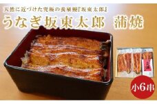 国産 うなぎ 蒲焼 小 6串 (1枚90g) 坂東太郎 鰻 うなぎ蒲焼 国産うなぎ 国産鰻 unagi うな重 ひつまぶし 丑の日 冷凍 食品 小分け 冷凍食品 真空パック 簡単調理 人気 おすすめ 魚 魚介 魚貝 海鮮 弁当 惣菜 贈答 贈り物 プレゼント ギフト お取り寄せ 送料無料 ふるさと納税 ふるさと納税鰻 ふるさと納税うなぎ 千葉県 銚子市 忠平