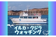 ウォッチング船「フリッパー」で行くイルカ・クジラウォッチング