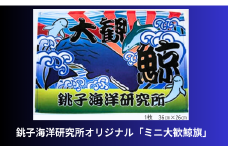 銚子海洋研究所オリジナル「ミニ大歓鯨旗」