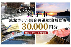 銚子市旅館ホテル組合共通宿泊補助券30,000円分 旅館 ホテル 宿泊 補助券 旅館券 旅館補助券 ホテル券 ホテル補助券 宿泊券 宿泊補助券 旅館宿泊券 旅館宿泊補助券 ホテル宿泊券 ホテル宿泊補助券