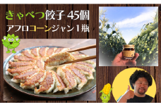 きゃべつ餃子 45個（15個入り x 3袋）とアフロコーンジャン（１瓶）セット 多くのメディアで紹介されている！ アフロ 数量限定 きゃべつ ｷｬﾍﾞﾂ 餃子 ぎょうざ ｷﾞｮｰｻﾞ 調味料 醤 ジャン 中華 ラー油 唐辛子 とうもろこし 野菜 小分け 送料無料 ギフト 冷凍 千葉県 銚子市 Hennery Farm