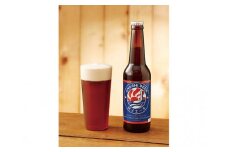 クラフトビール 銚子エール 330ml 24本 セット 銚子の魚に合うクラフトビール 辛口 地ビール 千葉県 銚子市